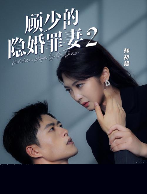 顾少的隐婚罪妻2