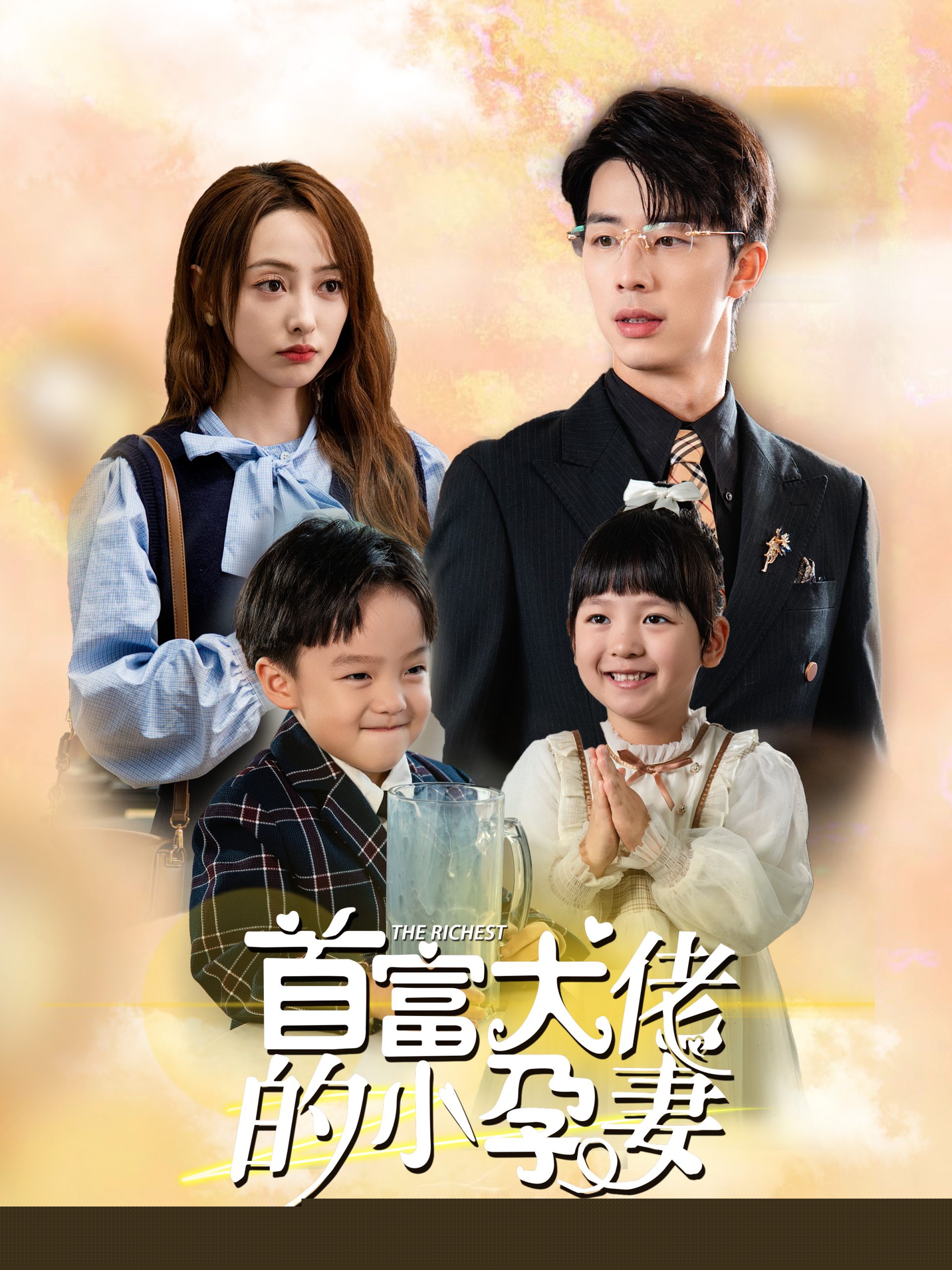 首富大佬的小孕妻