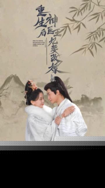 重生后神医王妃要改嫁