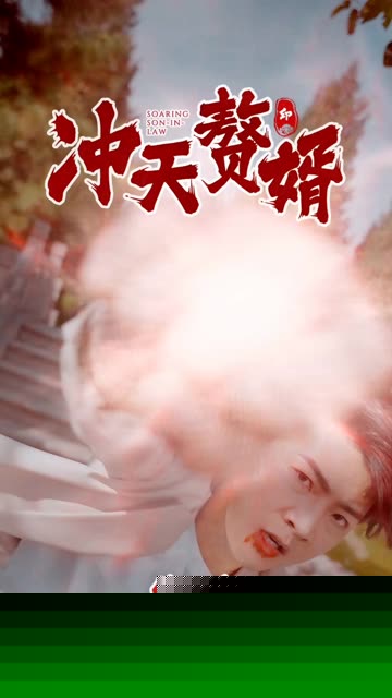 冲天赘婿
