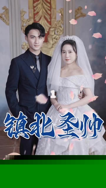 镇北圣帅&镇北神帅