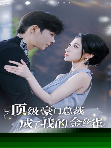 顶级豪门总裁成了我的金丝雀