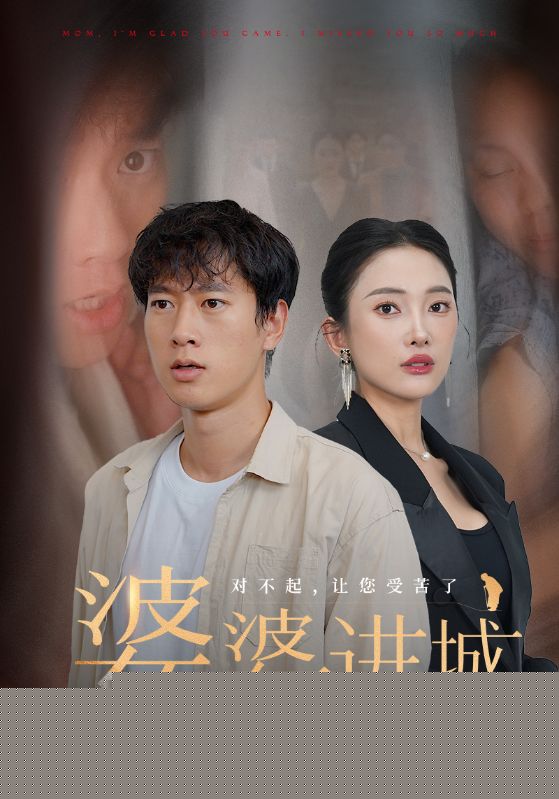 婆婆进城