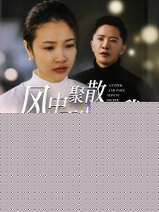 风中聚散不由你我