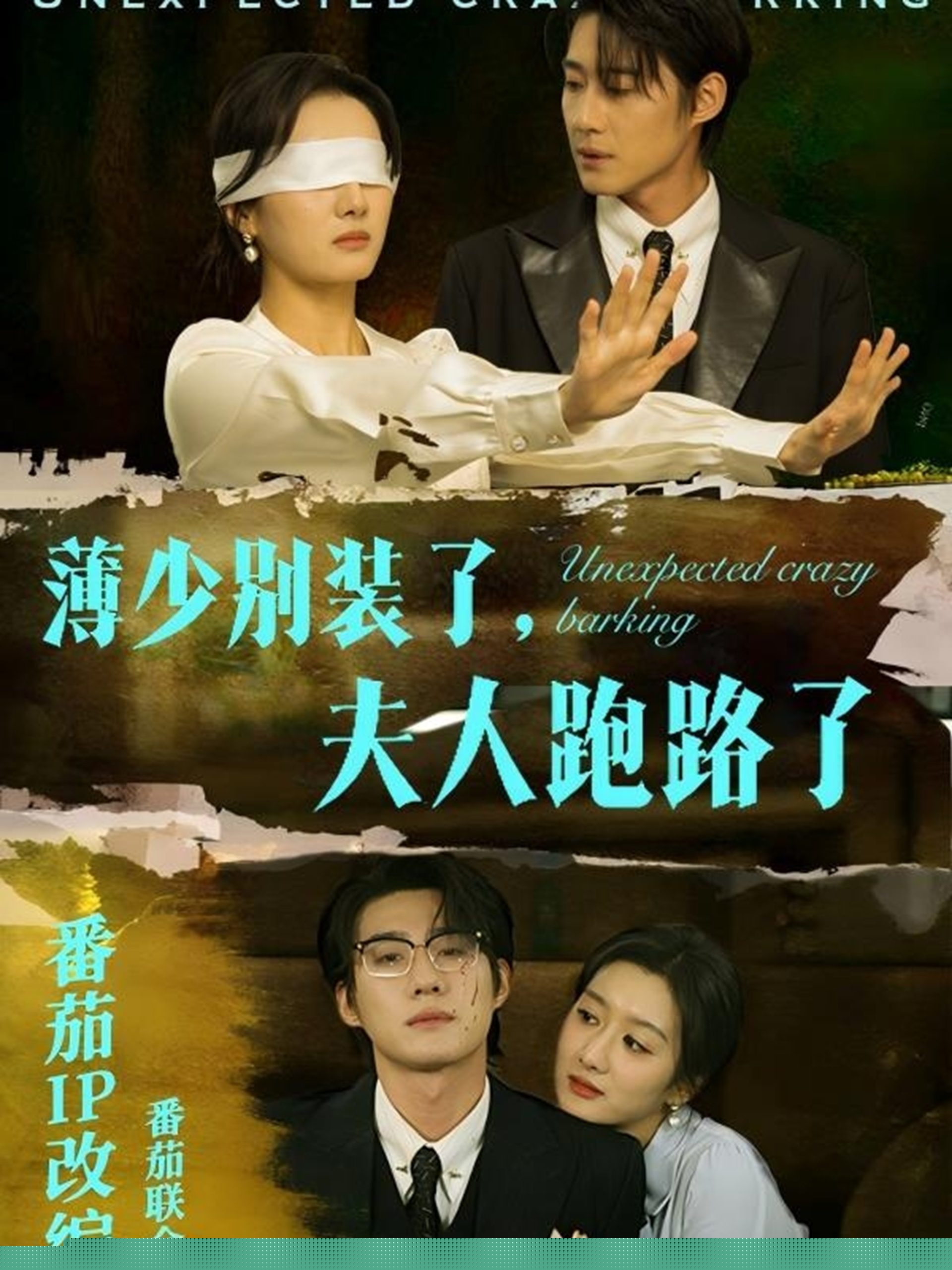 薄少别装了夫人跑路了