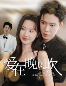 爱在晚风吹