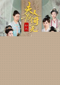 夫人为何如此无情