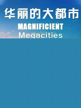 MagnificentMegacities