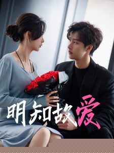明知故爱
