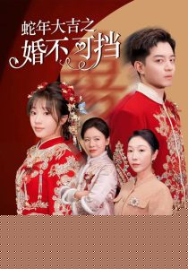 蛇年大吉之婚不可挡