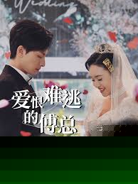爱恨难逃的傅总