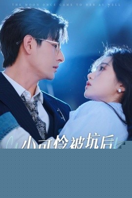 小可怜被坑后被大律师宠上天