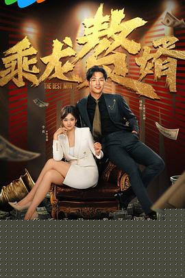 乘龙赘婿