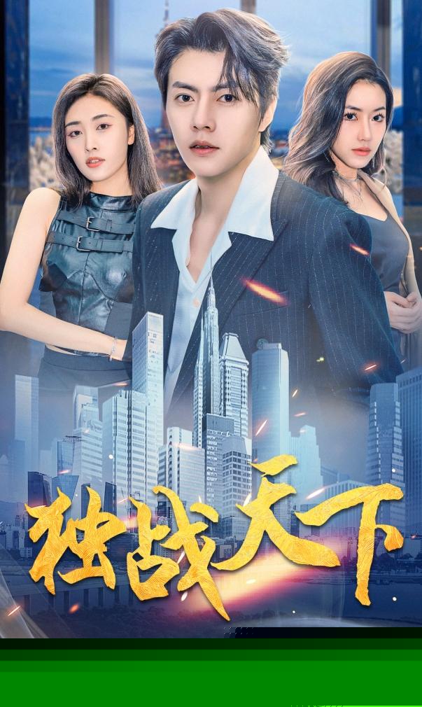 独战天下