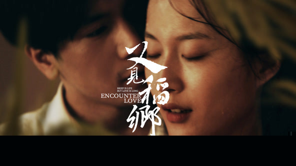 又见稻乡