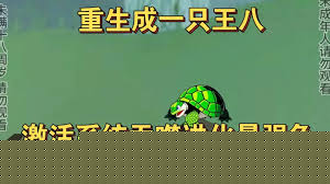 一只龟的进化史