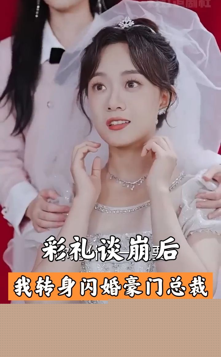 彩礼谈崩后我闪婚了豪门老公