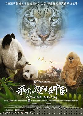 我们诞生在中国