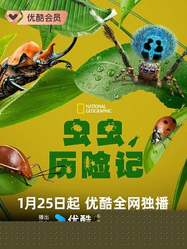 虫虫历险记