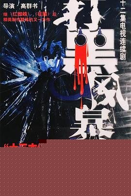 打黑风暴