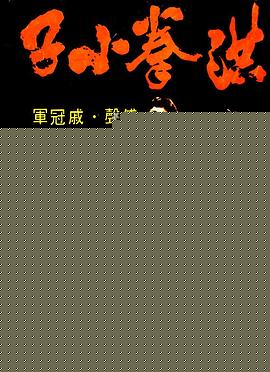 洪拳小子国语