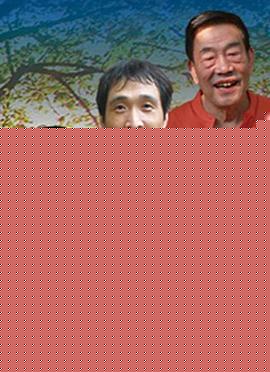 杨光的夏天