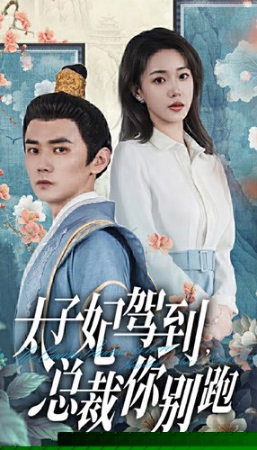 太子妃驾到，总裁你别跑