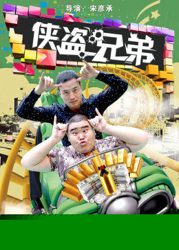 侠盗兄弟