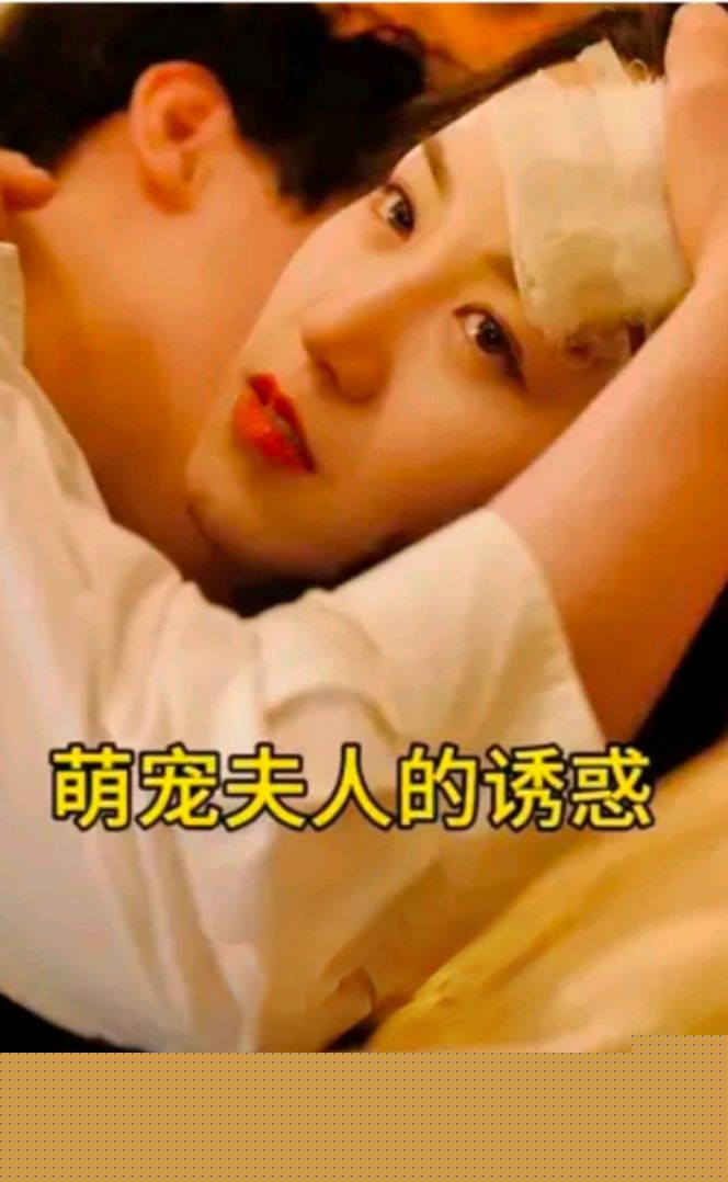 萌宠夫人的诱惑