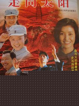 走向太阳