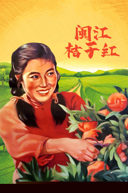 闽江桔子红
