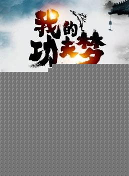 我的功夫梦