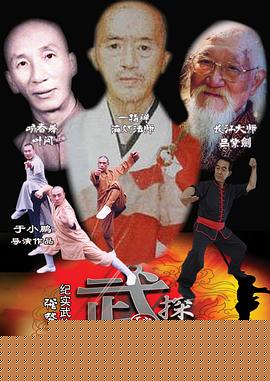 武林探秘