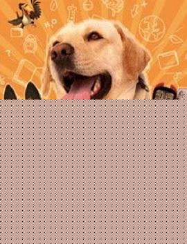 神犬出击