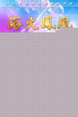 浴火凤凰2015