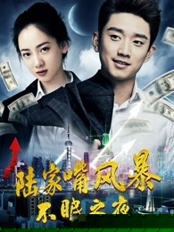 陆家嘴风暴：不眠之夜