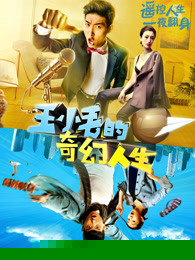 王小毛的奇幻人生